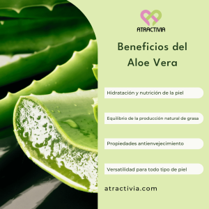 Beneficios del Aloe Vera - Atractivia